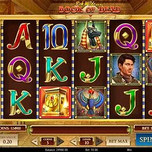 Book of Dead slot at SpinGranny casino